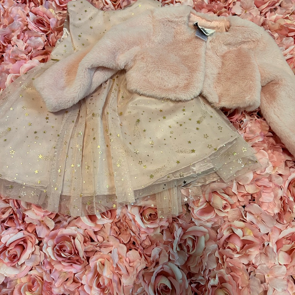 Pink Faux Fur Jacket and Gold Star Tulle Dress